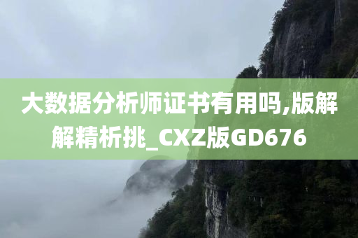 大数据分析师证书有用吗,版解解精析挑_CXZ版GD676