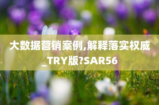 大数据营销案例,解释落实权威_TRY版?SAR56