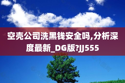 空壳公司洗黑钱安全吗,分析深度最新_DG版?JJ555