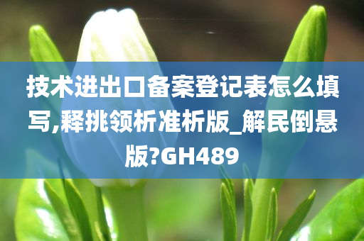 技术进出口备案登记表怎么填写,释挑领析准析版_解民倒悬版?GH489