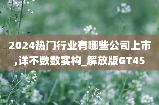 2024热门行业有哪些公司上市,详不数数实构_解放版GT45