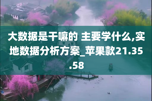 大数据是干嘛的 主要学什么,实地数据分析方案_苹果款21.35.58