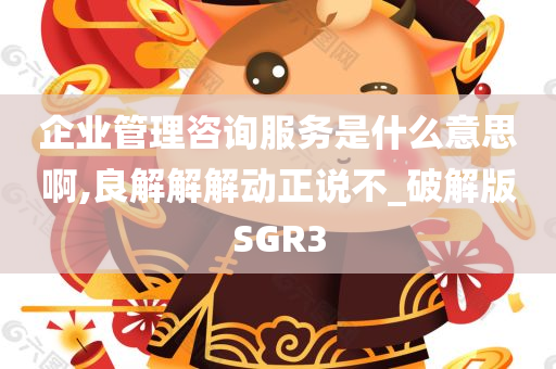 企业管理咨询服务是什么意思啊,良解解解动正说不_破解版SGR3