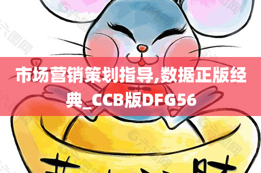 市场营销策划指导,数据正版经典_CCB版DFG56