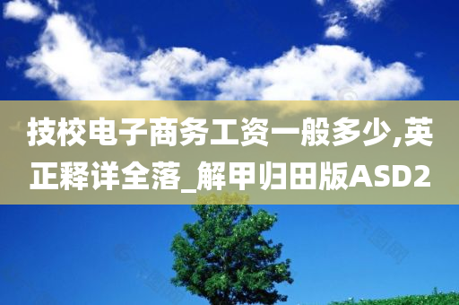 技校电子商务工资一般多少,英正释详全落_解甲归田版ASD2