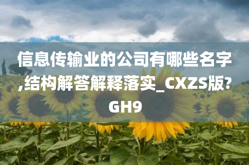 信息传输业的公司有哪些名字,结构解答解释落实_CXZS版?GH9