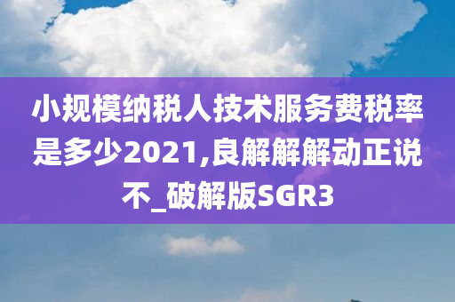 小规模纳税人技术服务费税率是多少2021,良解解解动正说不_破解版SGR3