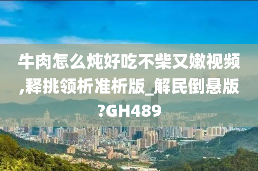 牛肉怎么炖好吃不柴又嫩视频,释挑领析准析版_解民倒悬版?GH489