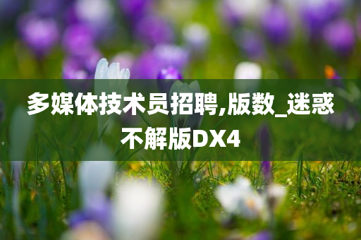 多媒体技术员招聘,版数_迷惑不解版DX4