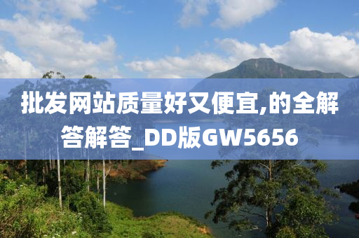 批发网站质量好又便宜,的全解答解答_DD版GW5656