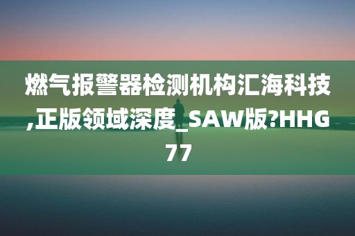 燃气报警器检测机构汇海科技,正版领域深度_SAW版?HHG77