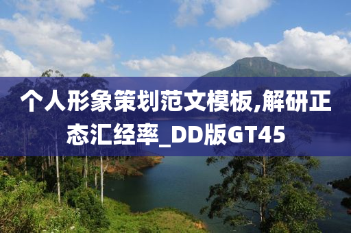 个人形象策划范文模板,解研正态汇经率_DD版GT45