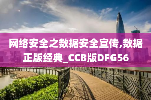 网络安全之数据安全宣传,数据正版经典_CCB版DFG56