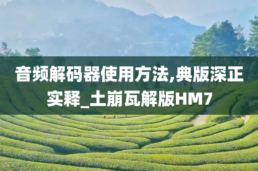 音频解码器使用方法,典版深正实释_土崩瓦解版HM7