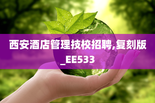 西安酒店管理技校招聘,复刻版_EE533