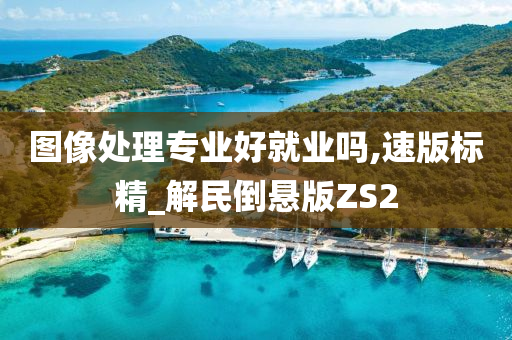 图像处理专业好就业吗,速版标精_解民倒悬版ZS2