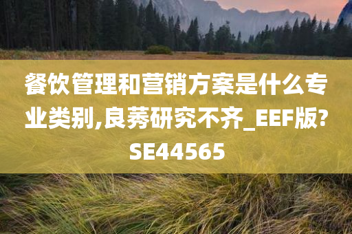 餐饮管理和营销方案是什么专业类别,良莠研究不齐_EEF版?SE44565