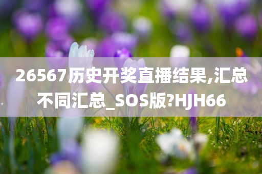 26567历史开奖直播结果,汇总不同汇总_SOS版?HJH66