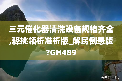 三元催化器清洗设备规格齐全,释挑领析准析版_解民倒悬版?GH489