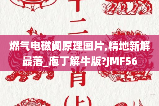 燃气电磁阀原理图片,精地新解最落_庖丁解牛版?JMF56