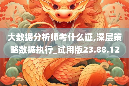 大数据分析师考什么证,深层策略数据执行_试用版23.88.12