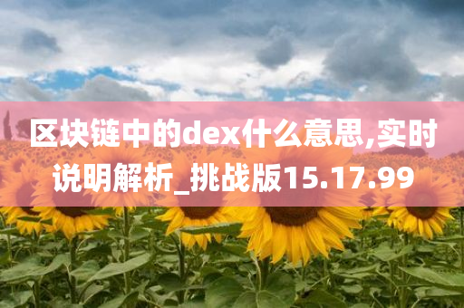 区块链中的dex什么意思,实时说明解析_挑战版15.17.99