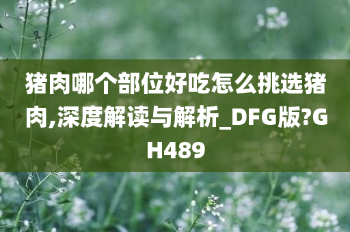 猪肉哪个部位好吃怎么挑选猪肉,深度解读与解析_DFG版?GH489