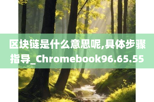 区块链是什么意思呢,具体步骤指导_Chromebook96.65.55