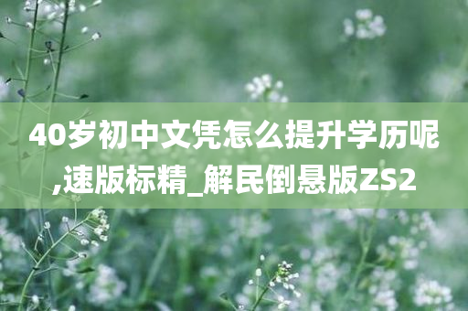 40岁初中文凭怎么提升学历呢,速版标精_解民倒悬版ZS2