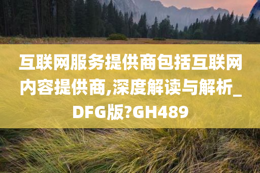 互联网服务提供商包括互联网内容提供商,深度解读与解析_DFG版?GH489