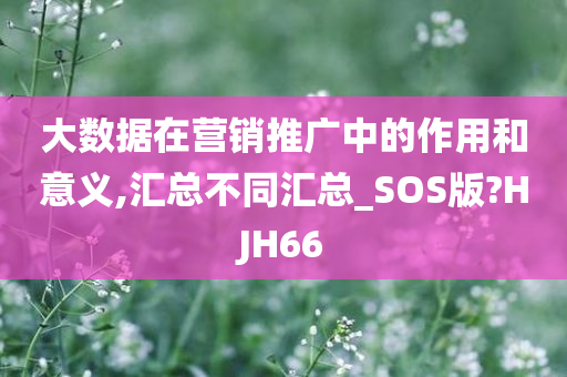 大数据在营销推广中的作用和意义,汇总不同汇总_SOS版?HJH66