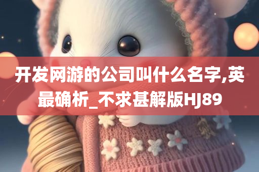 开发网游的公司叫什么名字,英最确析_不求甚解版HJ89