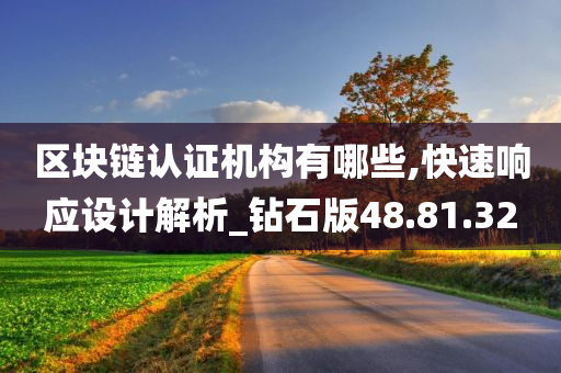 区块链认证机构有哪些,快速响应设计解析_钻石版48.81.32