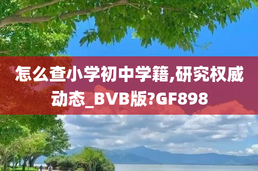 怎么查小学初中学籍,研究权威动态_BVB版?GF898