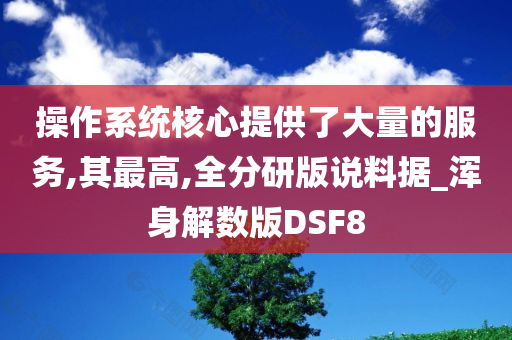 操作系统核心提供了大量的服务,其最高,全分研版说料据_浑身解数版DSF8