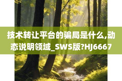 技术转让平台的骗局是什么,动态说明领域_SWS版?HJ6667