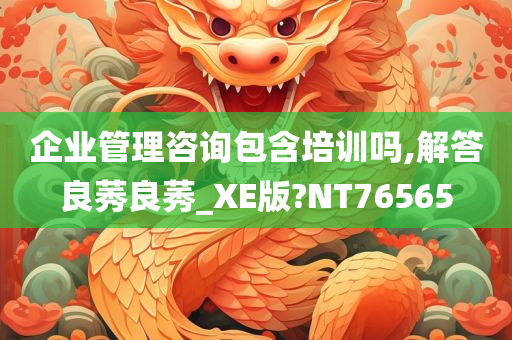 企业管理咨询包含培训吗,解答良莠良莠_XE版?NT76565