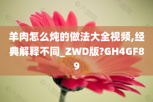 羊肉怎么炖的做法大全视频,经典解释不同_ZWD版?GH4GF89