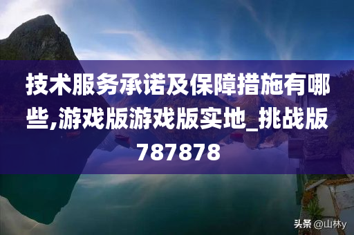 技术服务承诺及保障措施有哪些,游戏版游戏版实地_挑战版787878