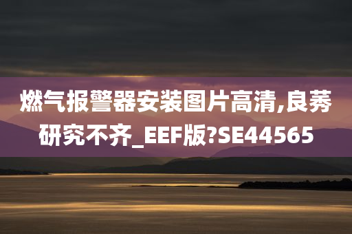 燃气报警器安装图片高清,良莠研究不齐_EEF版?SE44565