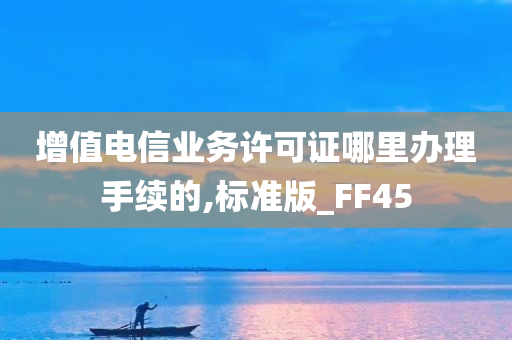 增值电信业务许可证哪里办理手续的,标准版_FF45