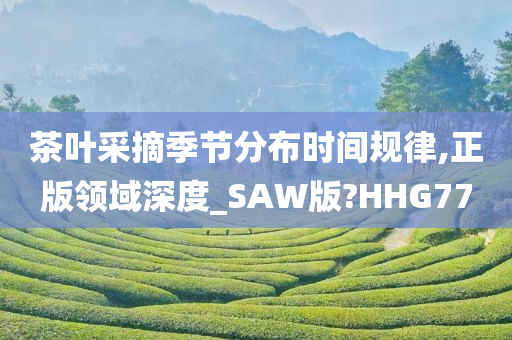 茶叶采摘季节分布时间规律,正版领域深度_SAW版?HHG77