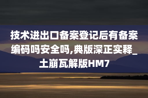 技术进出口备案登记后有备案编码吗安全吗,典版深正实释_土崩瓦解版HM7