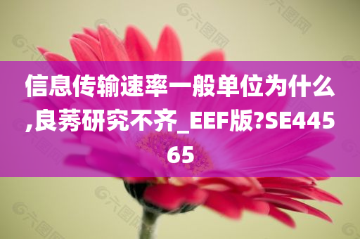 信息传输速率一般单位为什么,良莠研究不齐_EEF版?SE44565