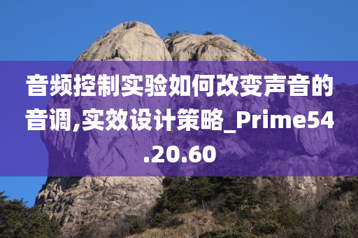 音频控制实验如何改变声音的音调,实效设计策略_Prime54.20.60