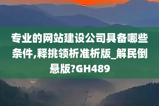 专业的网站建设公司具备哪些条件,释挑领析准析版_解民倒悬版?GH489