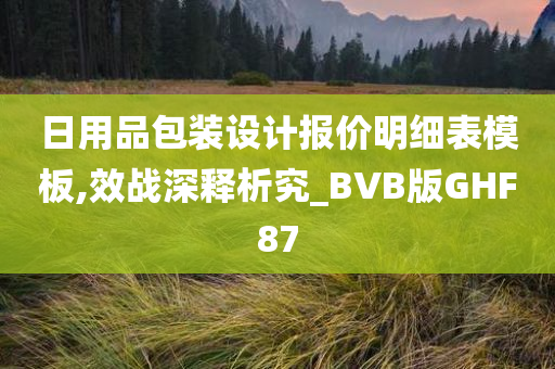 日用品包装设计报价明细表模板,效战深释析究_BVB版GHF87