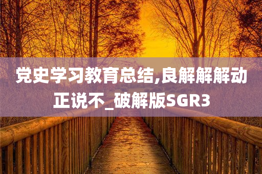 党史学习教育总结,良解解解动正说不_破解版SGR3