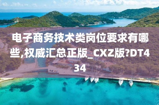 电子商务技术类岗位要求有哪些,权威汇总正版_CXZ版?DT434