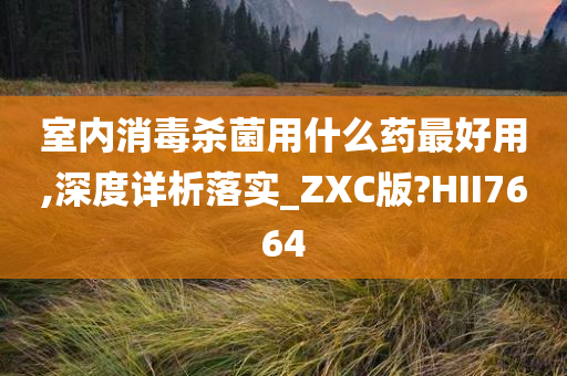 室内消毒杀菌用什么药最好用,深度详析落实_ZXC版?HII7664